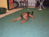 il IMG_1974.JPG (127043 Byte)