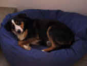 je_IMG_1996.JPG (72116 Byte)