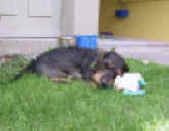 rd-j (2).JPG (126450 Byte)