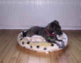 si IMG_17561.JPG (209814 Byte)