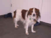 web-dam IMG_2432.JPG (63896 Byte)