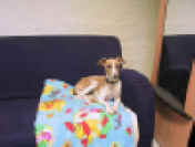 web-flo IMG_2555.JPG (66660 Byte)