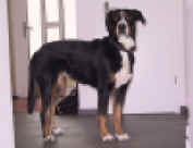 web-lun IMG_2763.JPG (72034 Byte)