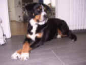 web-lun IMG_2785.JPG (105608 Byte)