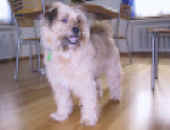 web-pel IMG_3215.JPG (115288 Byte)