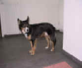 web-samira (8).JPG (36329 Byte)