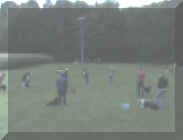 web-shila03.JPG (132506 Byte)