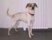 web-snoo IMG_2830.JPG (71182 Byte)