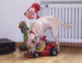 web-snoo IMG_2840.JPG (92392 Byte)