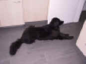 web ast IMG_2061.JPG (74015 Byte)