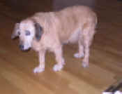 web mi IMG_2224.JPG (61126 Byte)