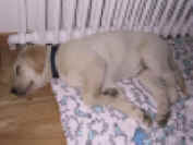 web nur IMG_2604.JPG (117917 Byte)