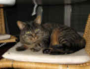 web zeze IMG_1098 (1).JPG (154247 Byte)